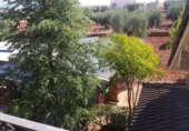 Xalet independent amb terreny en venda a Almendralejo ref.: TR15076 foto