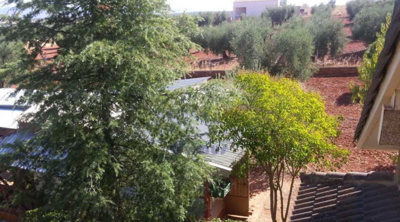 Badajoz - Alange - 8000m2