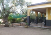 Chalet independiente con terreno en venta en Almendralejo ref: TR13991 foto