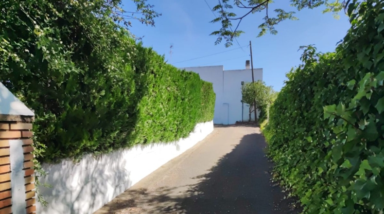 Badajoz - Almendralejo - 1450m2