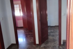Almendralejo 255&nbsp;m²