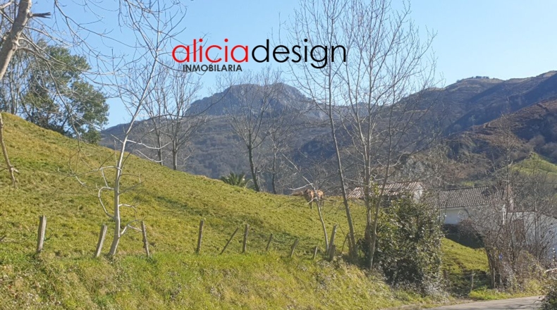 Asturias - Martimporra - 3700m2