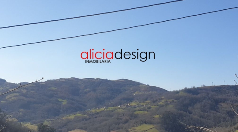 Asturias - Martimporra - 3700m2