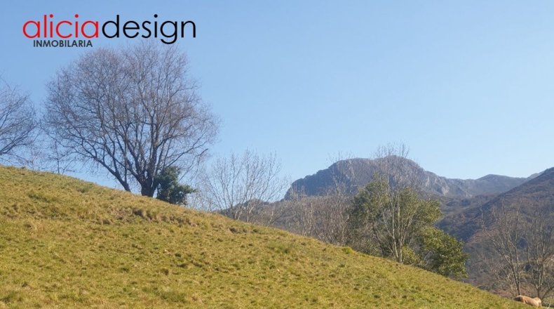Asturias - Martimporra - 3700m2