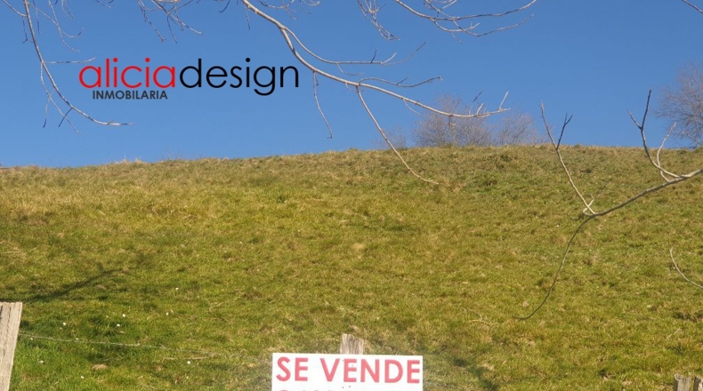 Asturias - Martimporra - 3700m2