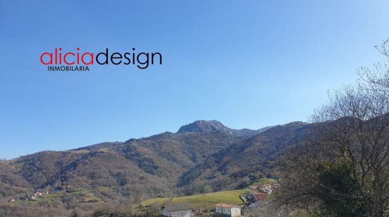 Asturias - Martimporra - 3700m2