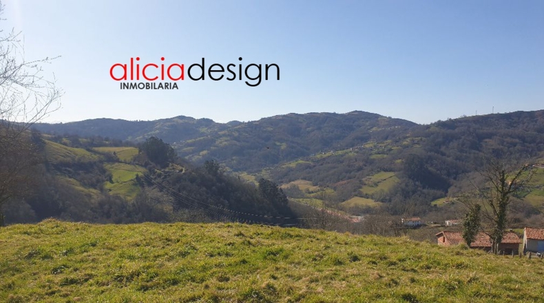 Asturias - Martimporra - 3700m2