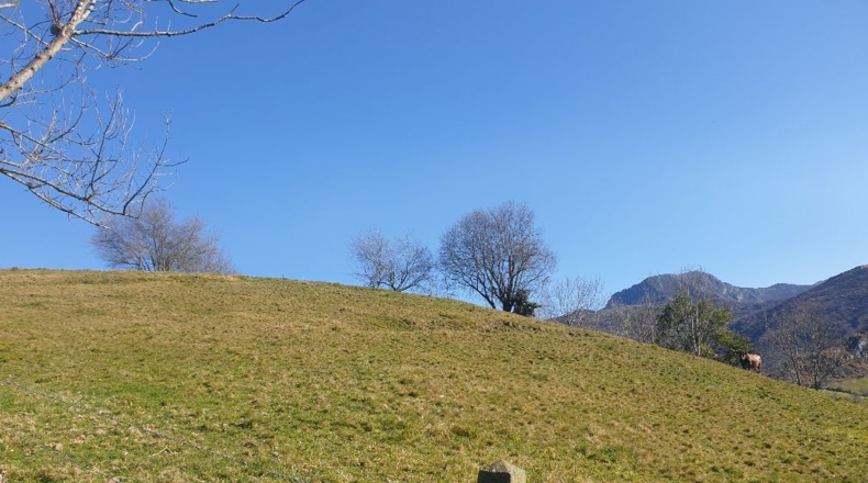 Asturias - Martimporra - 3700m2