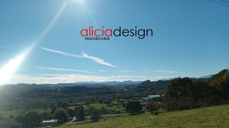 Asturias - Nava - 3000m2