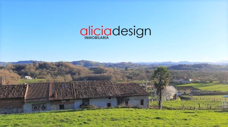 Asturias - Vega de Poja - 40m2