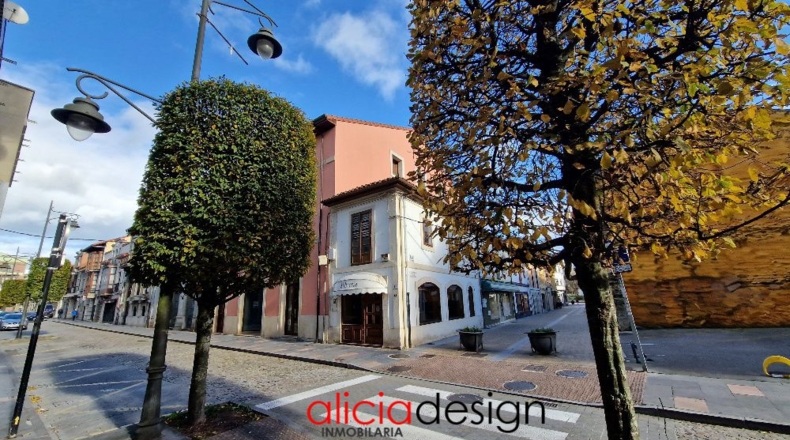 Asturias - Pola de Siero - 575m2