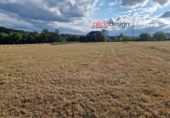 Non-developable land for sale in Pola de Siero ref: TR350063 photo