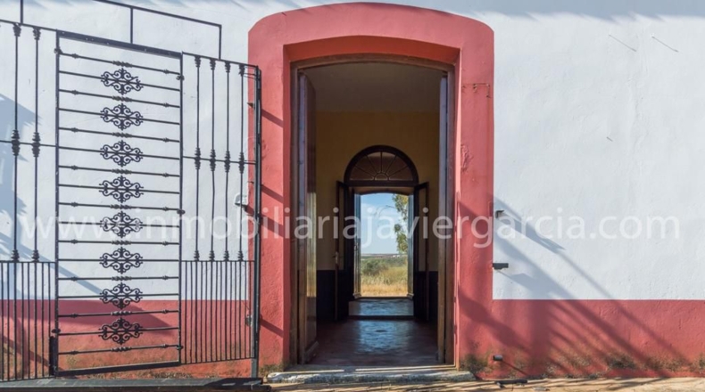 Badajoz - Villafranca de los Barros - 10000m2