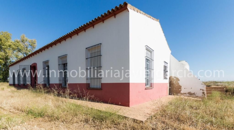 Badajoz - Villafranca de los Barros - 10000m2
