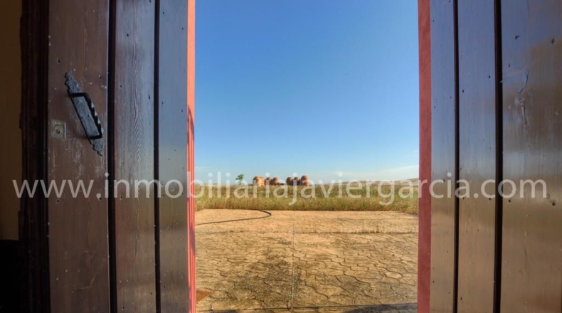 Badajoz - Villafranca de los Barros - 10000m2