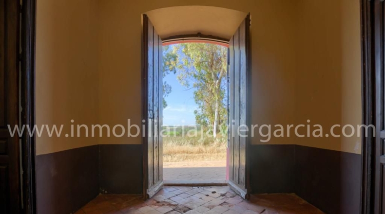 Badajoz - Villafranca de los Barros - 10000m2