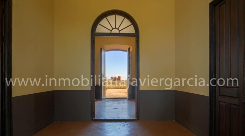 Badajoz - Villafranca de los Barros - 10000m2