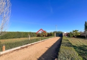 Masia amb terreny en venda a la España, Villafranca de los Barros, ref.: TR306994 foto