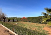 Masia amb terreny en venda a la España, Villafranca de los Barros, ref.: TR306994 foto
