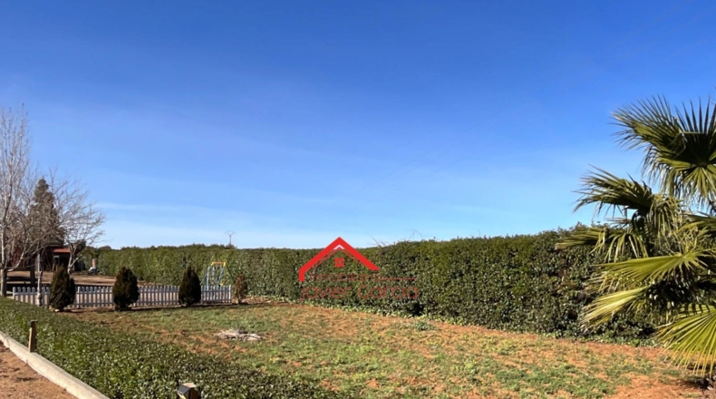 Badajoz - Вильяфранка-де-лос-Баррос - 3100m2