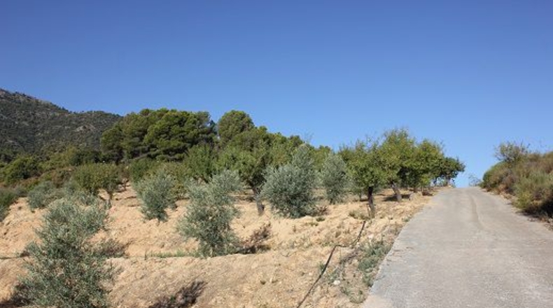 Granada - Restábal - 20000m2