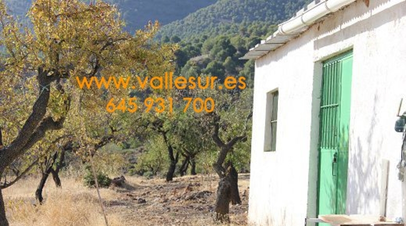 Granada - Restábal - 20000m2