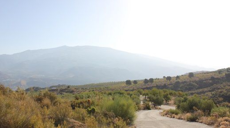 Granada - Restábal - 20000m2