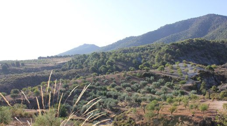 Granada - Restábal - 20000m2