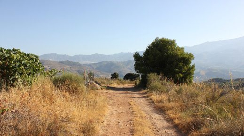 Granada - Restábal - 20000m2