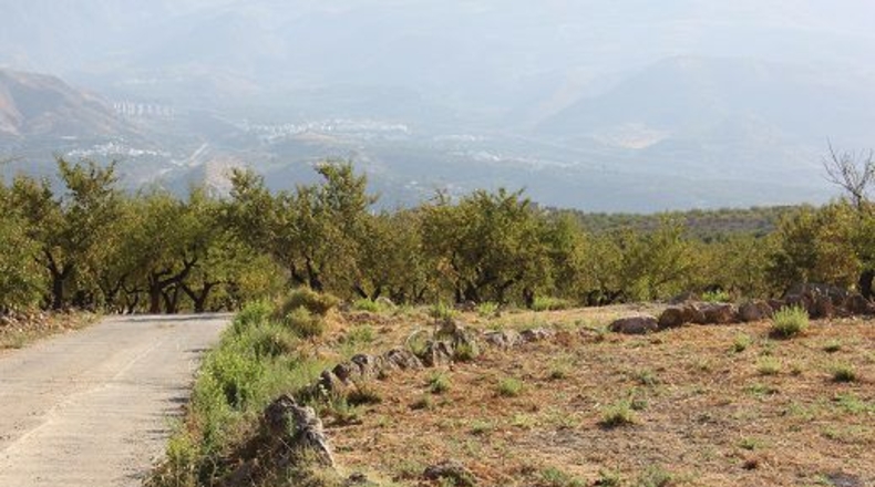 Granada - Restábal - 20000m2