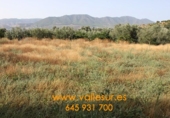 Parcela urbanizable en venta en Murchas ref: TR22282 foto