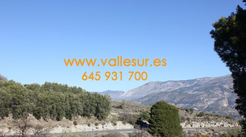 Granada - Pinos del Valle - 12000m2