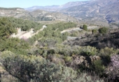 Terreno no urbanizable en venta en Ízbor ref: TR53715 foto