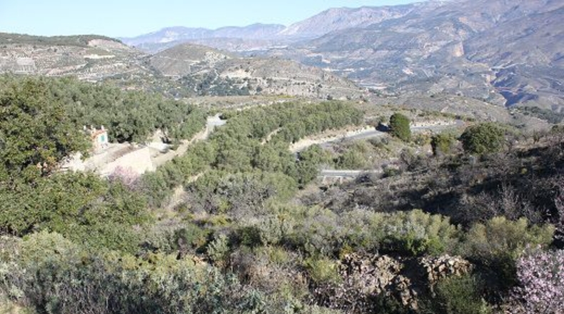 Granada - Pinos del Valle - 12000m2