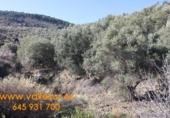 Terreno no urbanizable en venta en Ízbor ref: TR53715 foto