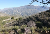 Terreno no urbanizable en venta en Ízbor ref: TR53715 foto