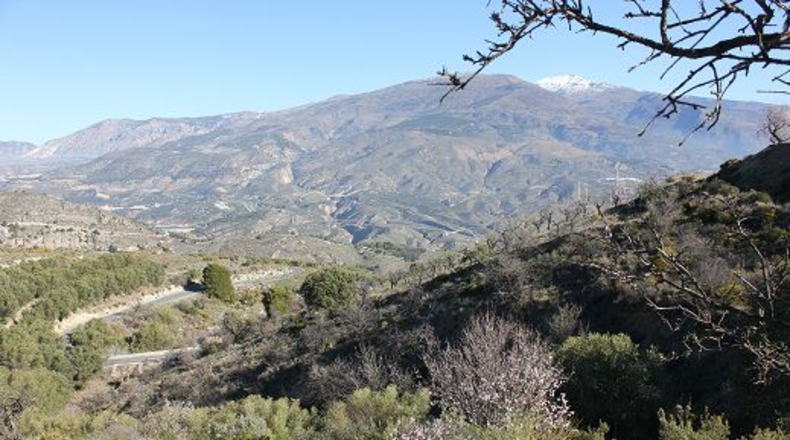 Granada - Pinos del Valle - 12000m2