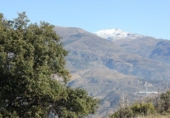 Terreno no urbanizable en venta en Ízbor ref: TR53715 foto