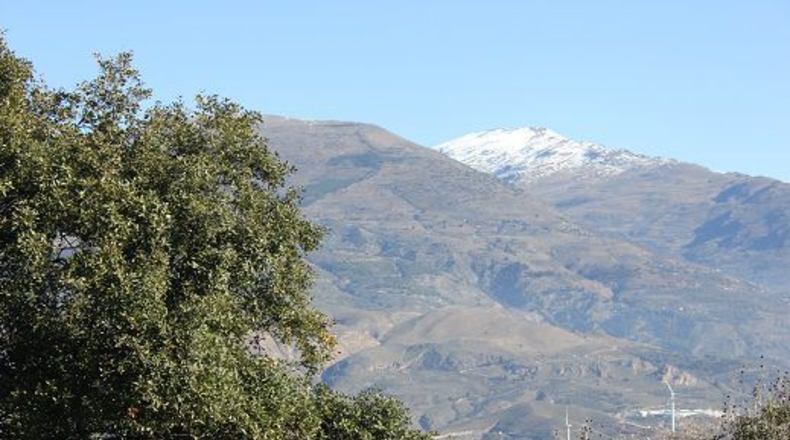 Granada - Pinos del Valle - 12000m2