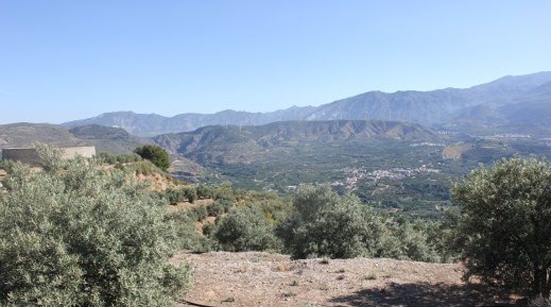 Granada - Restábal - 6000m2