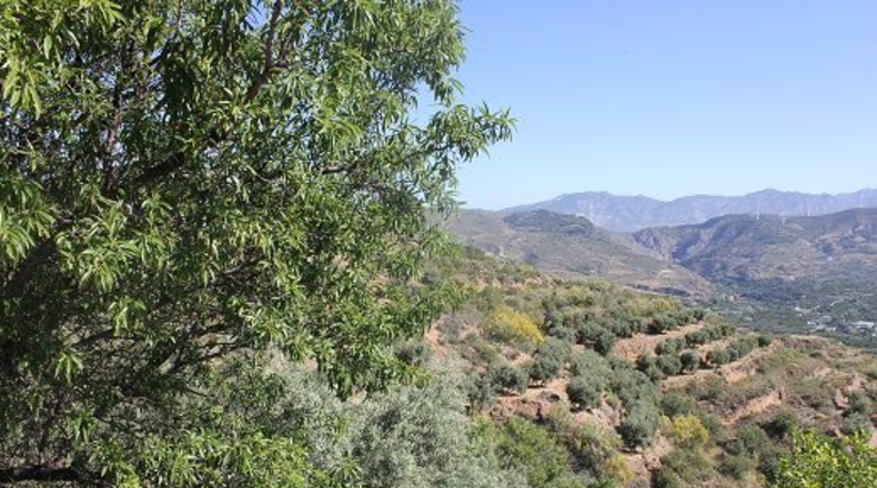 Granada - Restábal - 6000m2
