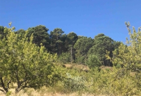 Foto 16