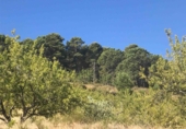 Masia amb terreny en venda a Pinos del Valle ref.: TR21617 foto