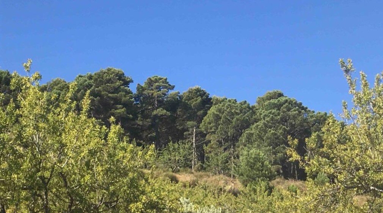 Granada - Pinos del Valle - 130m2