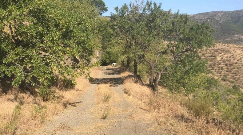 Granada - Pinos del Valle - 130m2