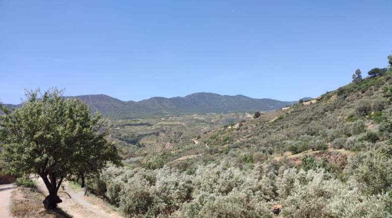 Granada - Chite - 2000m2