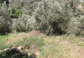 Terreno no urbanizable en venta en Béznar ref: TR53421 foto