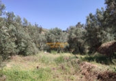 Terreno no urbanizable en venta en Béznar ref: TR53421 foto