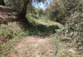 Terreno no urbanizable en venta en Béznar ref: TR53421 foto