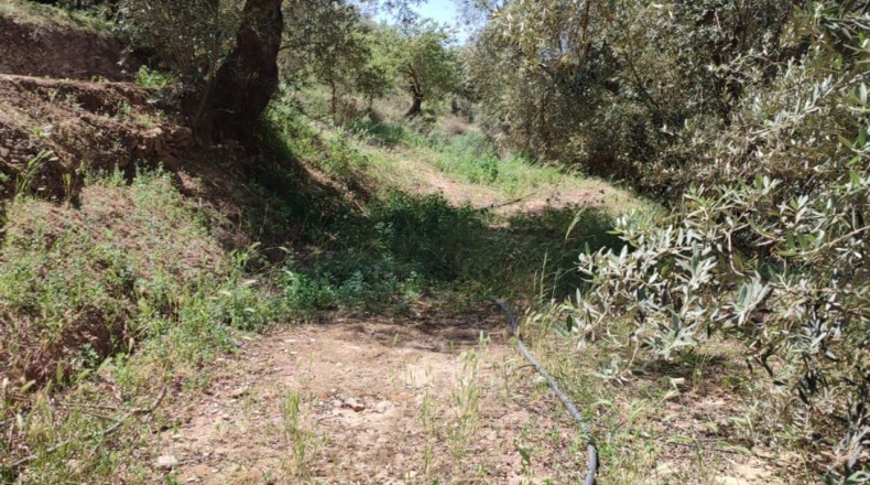 Granada - Chite - 2000m2